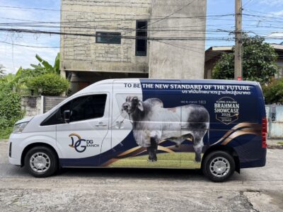 สติ๊กเกอร์ติดรถตู้