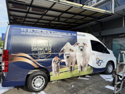 สติ๊กเกอร์ติดรถตู้